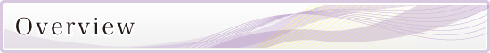 Overview Overview
