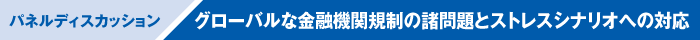 基調講演2：グローバルな金融機関規制の諸問題とストレスシナリオへの対応