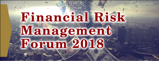 金融リスクマネジメントフォーラム2017