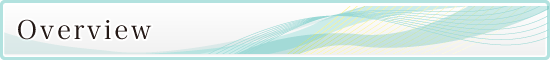 Overview Overview