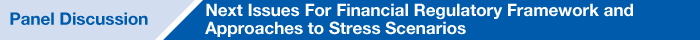 基調講演2：グローバルな金融機関規制の諸問題とストレスシナリオへの対応