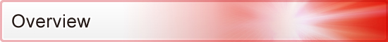 Overview Overview
