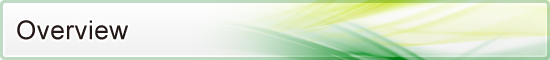 Overview Overview